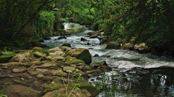 A Xunta adxudica a redacción dun estudo sobre os terreos da zona de fluxo preferente do río Lagares no Concello de Vigo