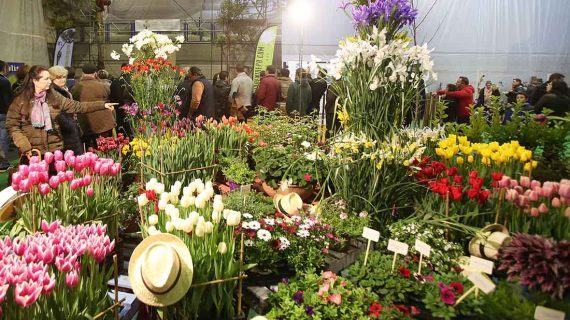 A mostra de cultivos cumpre 15 anos poñendo en valor a historia do agro no baixo miño