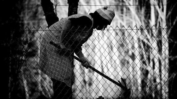 O Concello do Grove outorga o premio de Fotografía da Muller Traballadora a “Muller preparando a Terra” de Javier García