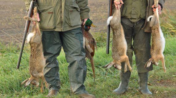 Ecoloxistas esixen a suspensión inmediata da caza en Galicia