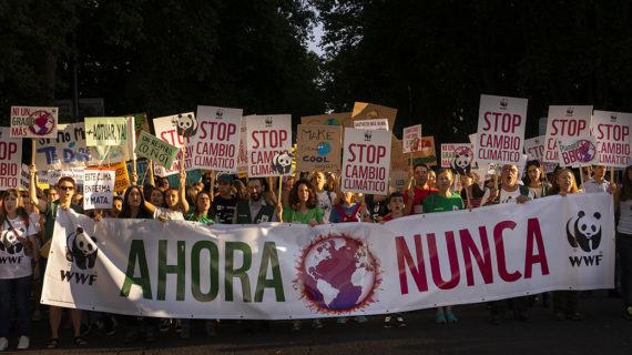 Presentada ante el Tribunal Supremo la demanda contra el Gobierno por falta de acción climática