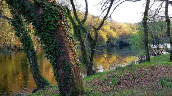 Medio Ambiente convoca as axudas para actuacións municipais de posta en valor das Reservas da Biosfera de Galicia