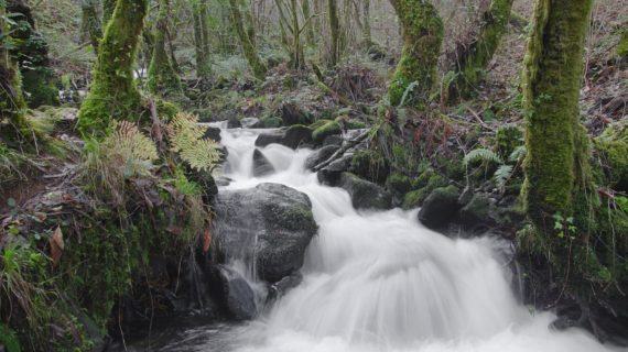 Convocadas axudas para a execución de accións de mellora e conservación nos seis parques naturais de Galicia