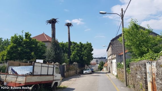 Atopan un corpo sen vida no Barrio de Ribadavia de Vigo