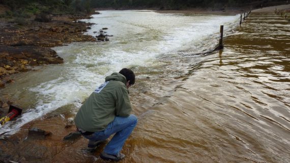 El ruinoso negocio de dos megaproyectos hídricos en Andalucía: un ‘agujero negro’ para la economía y el medio ambiente