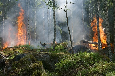 Controlado un incendio forestal en el ayuntamiento ourensano de Calvos de Randín, parroquia de Randín, que afecta al Parque Natural do Xurés