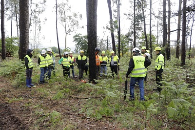 La Xunta apuesta por la formación para prevenir los riesgos laborales en las labores de aprovechamiento forestal